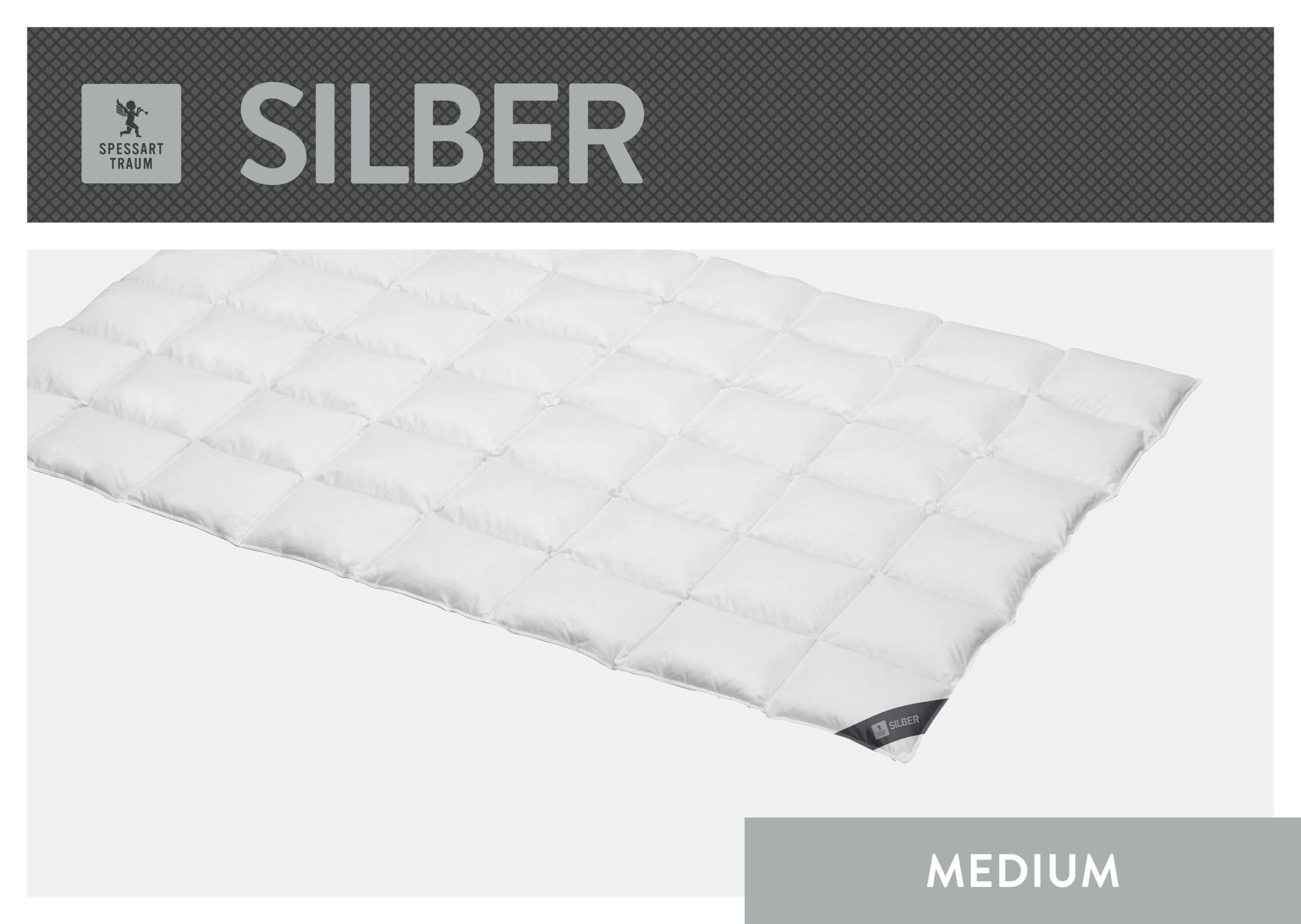 01_SPT_SILBER_M_Freisteller_96dpi