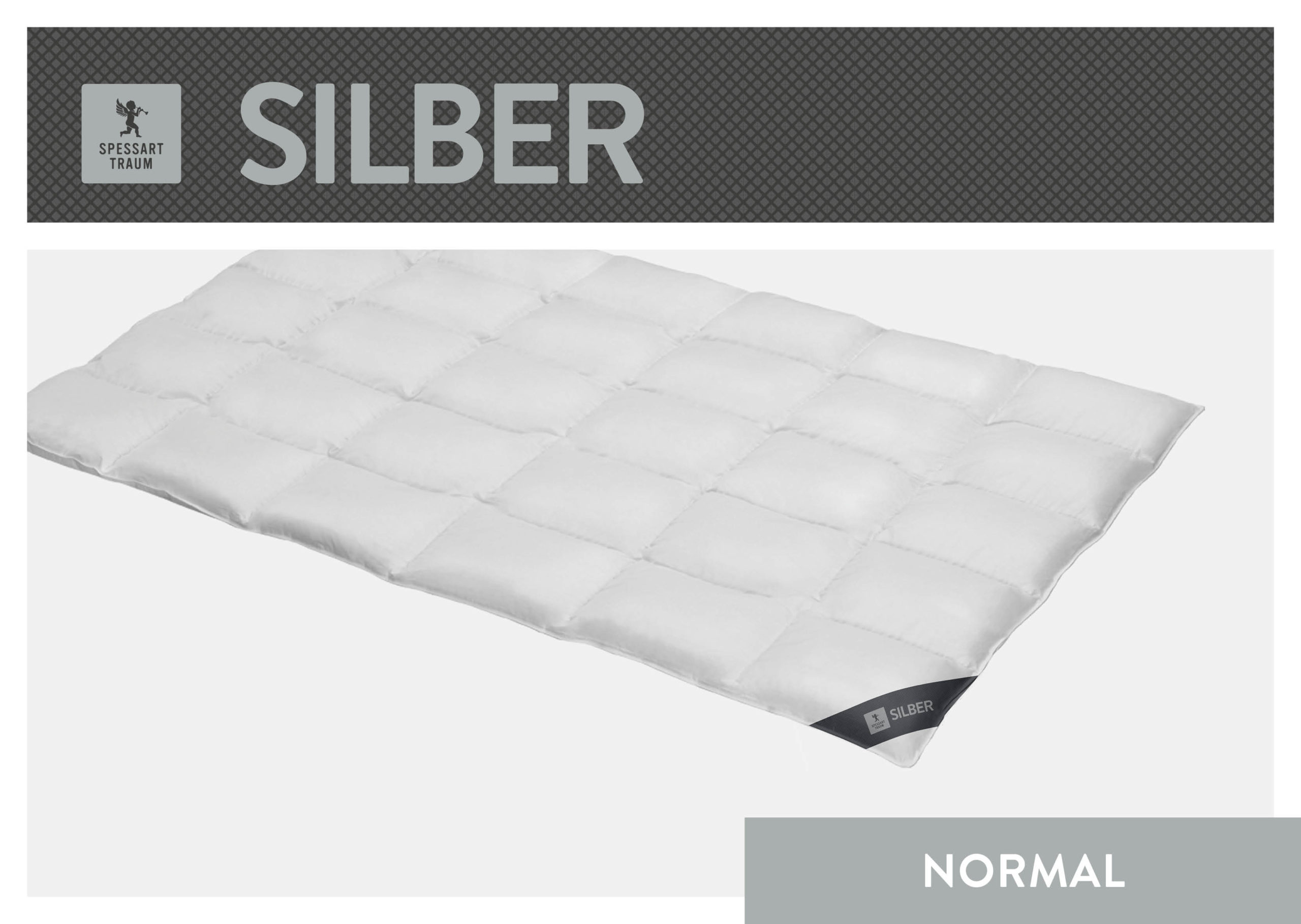 01_SPT_SILBER_N_Freisteller_96dpi