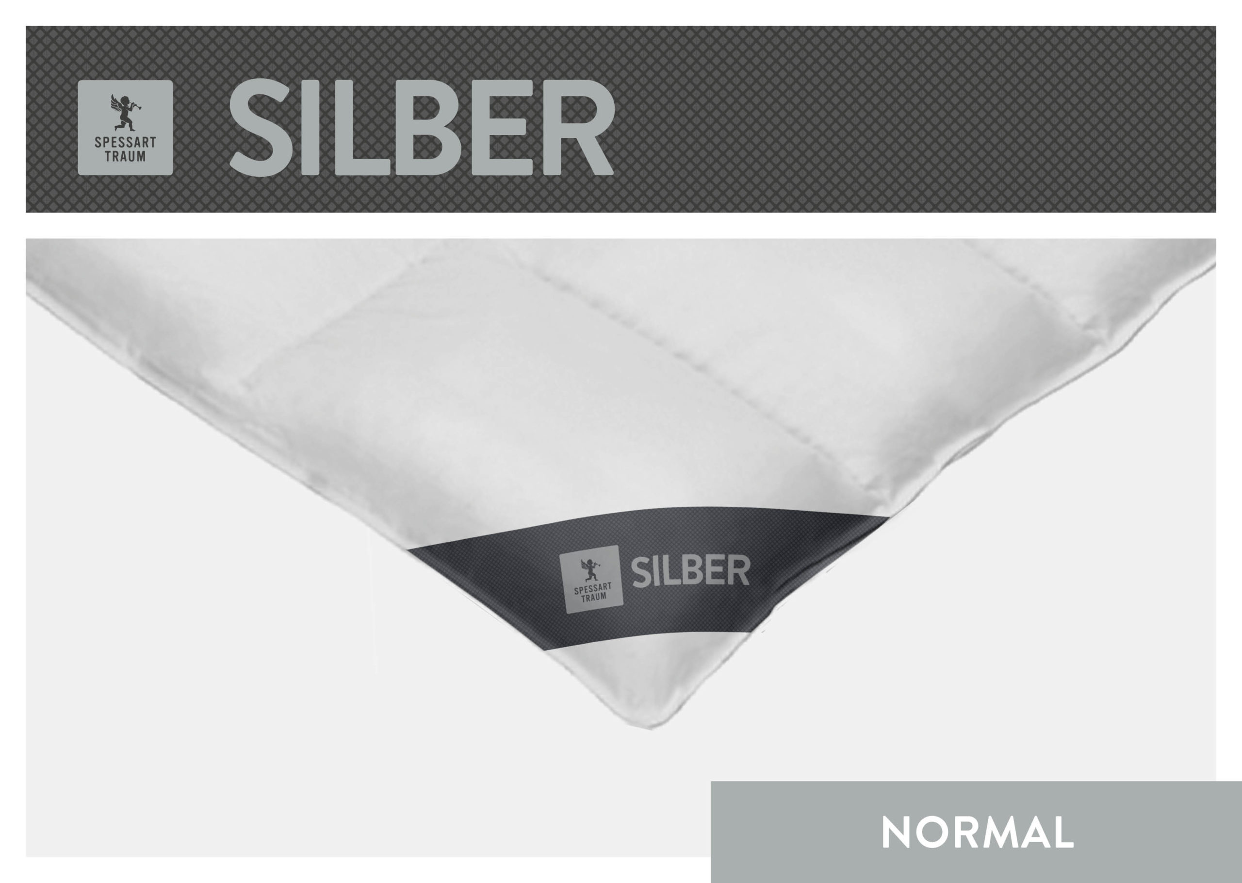 02_SPT_SILBER_N_CloseUp_96dpi